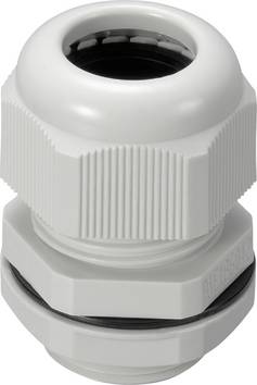 TRU COMPONENTS 1593313 Pressacavo filettato  M20  Poliammide Grigio (RAL 7035) 1 pz.