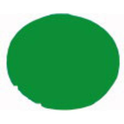 Un semplice cerchio verde su sfondo bianco.