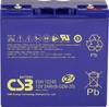 CSB Battery EVH 12240 EVH12240 Batteria al piombo 12 V 24 Ah Piombo-AGM (L x A x P) 181 x 170 x 76 mm Vite M5 Ciclica, Esente da manutenzione, Bassa autoscarica