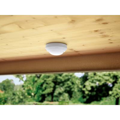 Un rilevatore di fumo è montato su un soffitto in legno. Sullo sfondo sono visibili alberi sfocati. Il rilevatore di fumo garantisce la sicurezza.