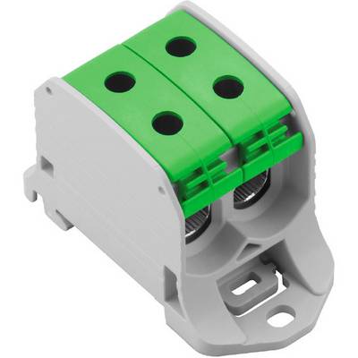 Morsettiera verde a due poli in plastica con due fori per i poli, idonea per connessioni elettriche su guide DIN.