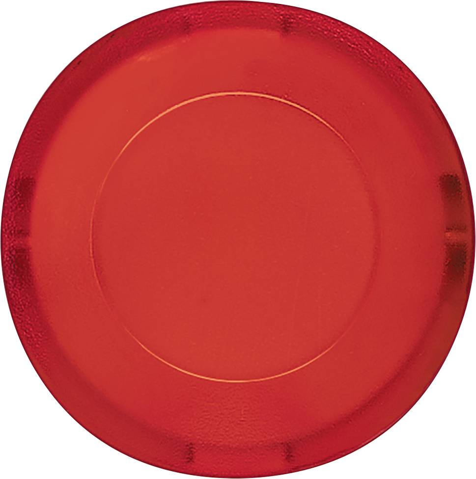 Disco rotonda e piatta in plastica su sfondo bianco.