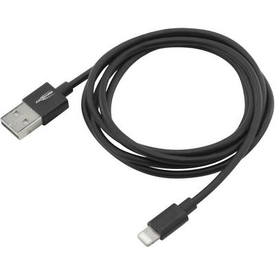Cavo di ricarica USB nero con un connettore USB standard su un lato e un connettore Lightning sull'altro.