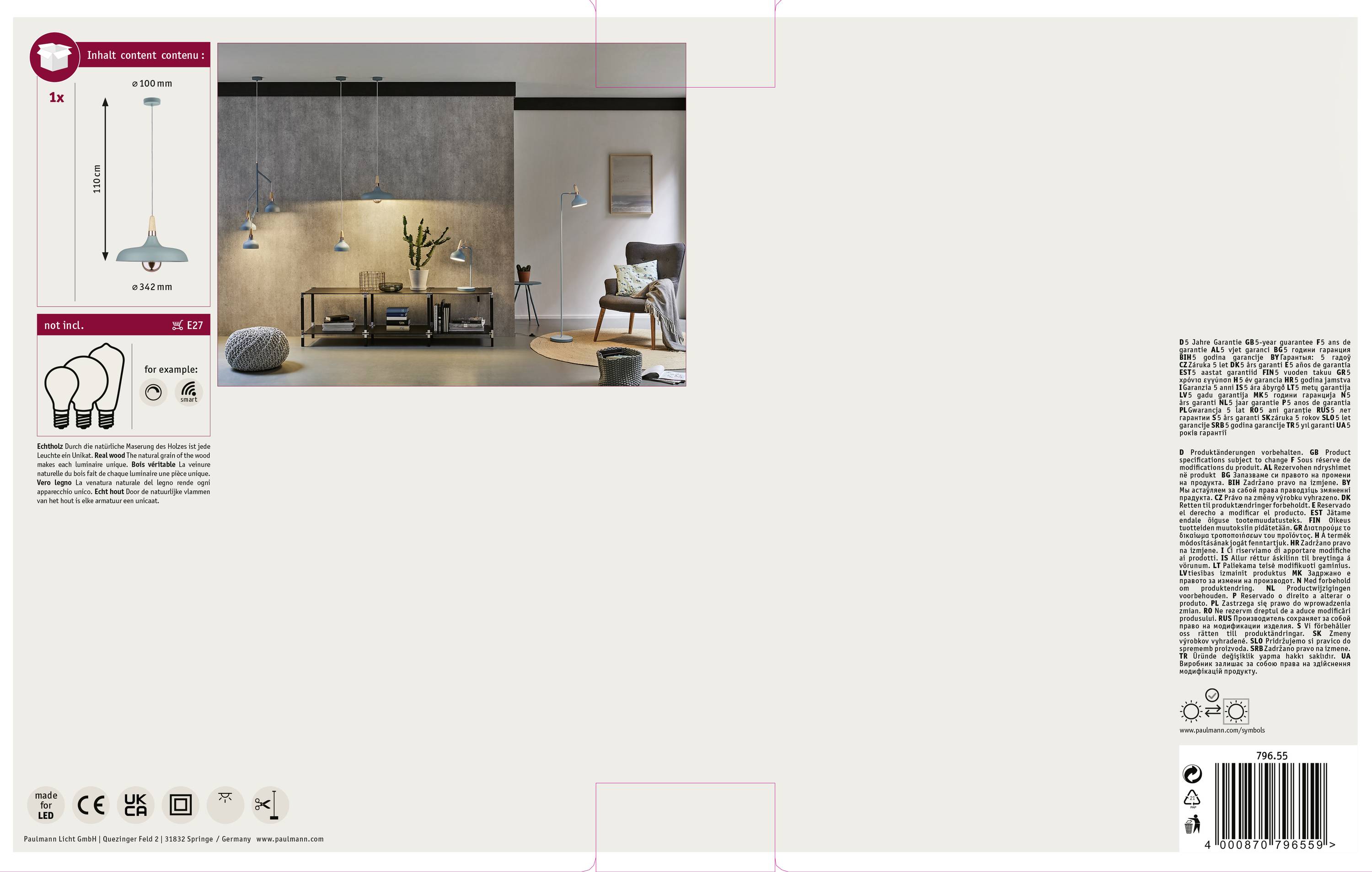 'Arredamento interno di un soggiorno moderno con parete grigia, lampada blu sospesa, divano, piante e tappeto con motivi decorativi.'
