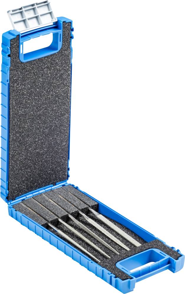 Scatola blu con coperchio aperto, contiene diverse lime inserite in supporti in schiuma. La scatola è destinata all'archiviazione organizzata degli utensili.