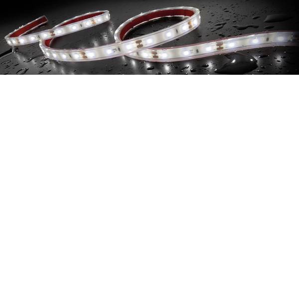 Illuminazione per interni auto - Staudte-Hirsch 570029 SH-5.610 12 V Striscia LED, Striscia LED, Luce LED da interni 12 V LED (L x L x A) 1 m x 12 mm x 5 - Illuminazione per interni auto - Staudte-Hirsch 570029 SH-5.610 12 V Striscia LED, Striscia LED, Luce LED da interni 12 V LED (L x L x A) 1 m x 12 mm x 5 -