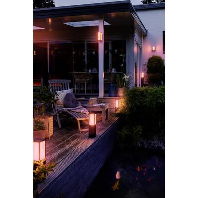 Un giardino illuminato la sera con terrazza. Lampade circondano mobili da seduta e piante vicino a uno stagno, creando un'atmosfera accogliente.