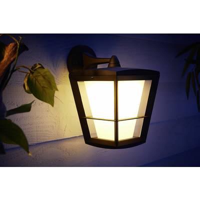 Lampada da esterno che illumina nell'oscurità, montata su una facciata in legno con alcune foglie in primo piano.