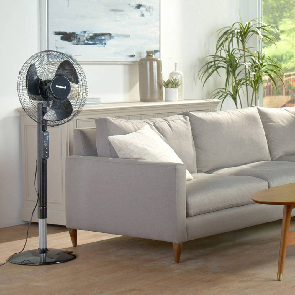 Un divano grigio è posto in un soggiorno accanto a un ventilatore a piantana. Sullo sfondo si vedono delle piante e una decorazione murale.