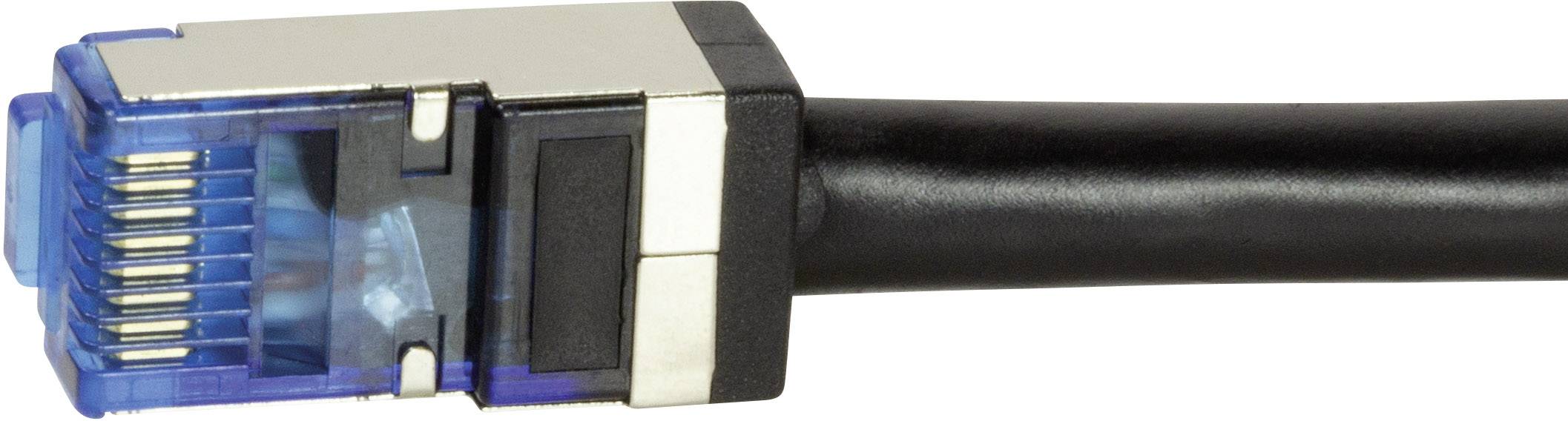 Primo piano di un cavo Ethernet con connettore RJ-45 blu, utilizzato per la connessione di rete.