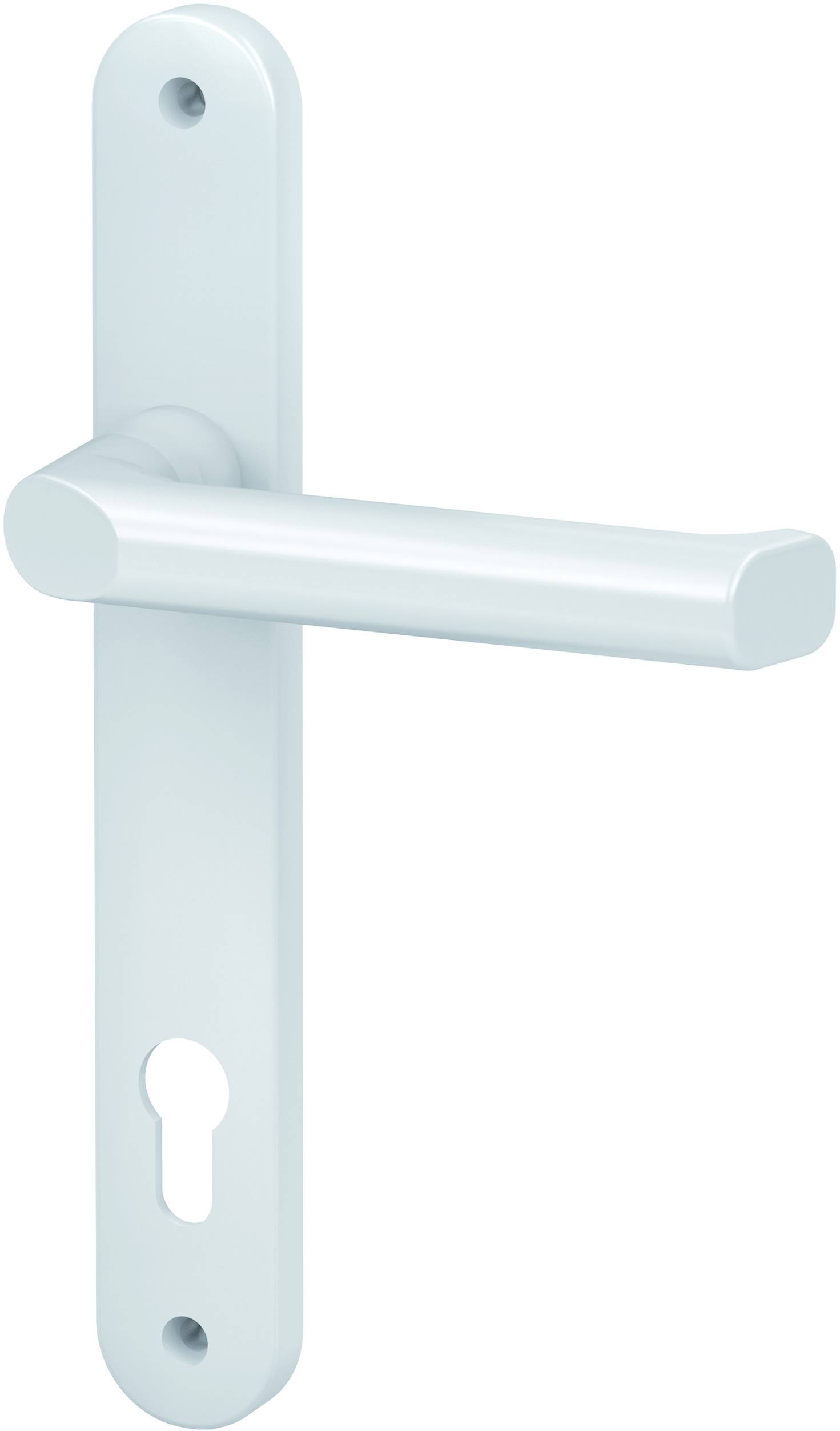 Set maniglia per porta, composto da una piastra rettangolare lunga con impugnatura integrata e foro per la chiave, in colore argento.