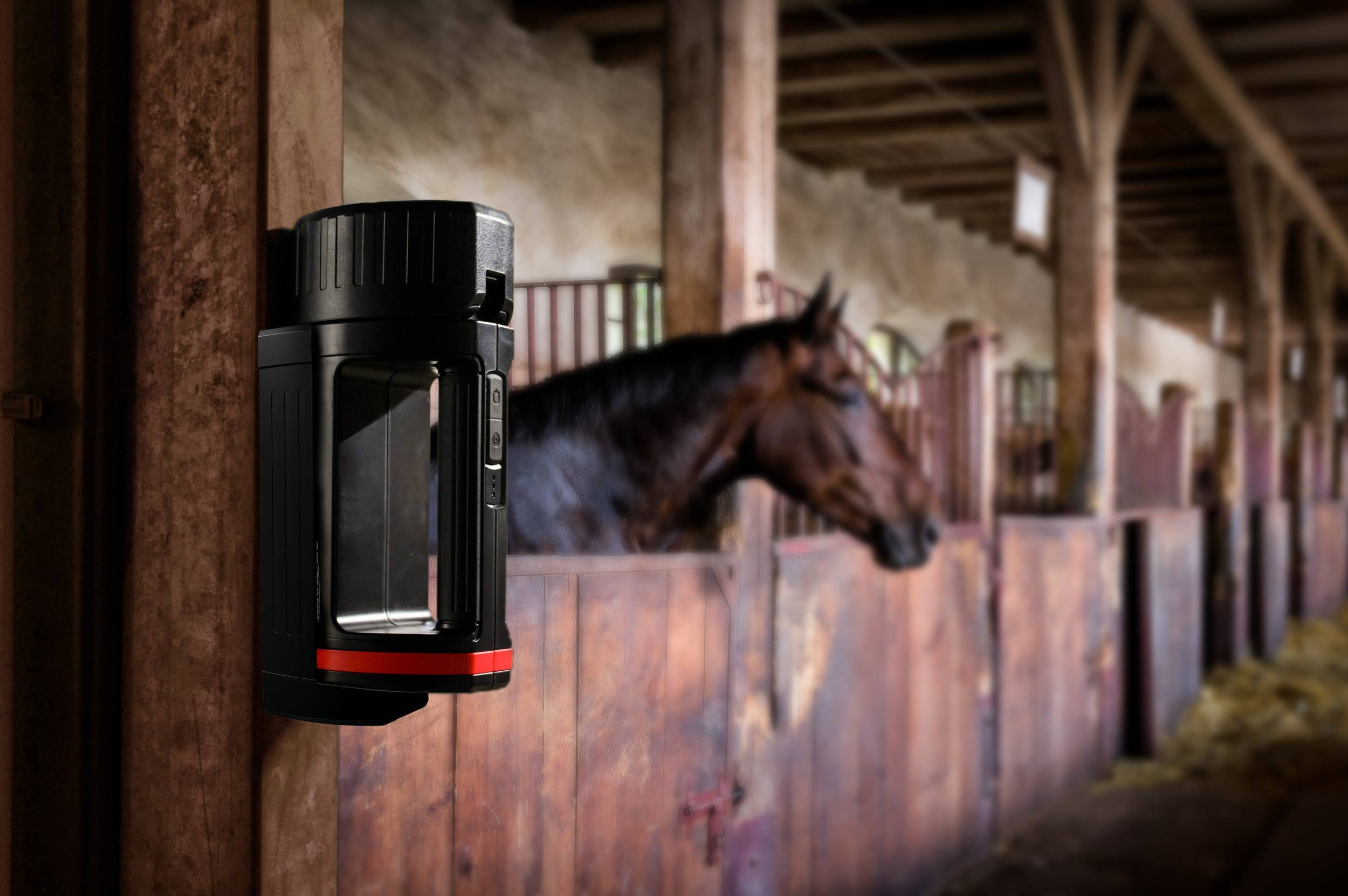 Un cavallo marrone guarda oltre il muro del box in una stalla di legno ben illuminata, con un dispositivo moderno fissato al muro in primo piano.