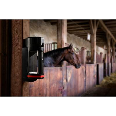 Un cavallo marrone guarda oltre il muro del box in una stalla di legno ben illuminata, con un dispositivo moderno fissato al muro in primo piano.