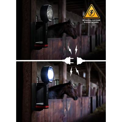 'Immagine superiore: Stalla buia con cavallo, torcia spenta; immagine inferiore: Torcia accesa, illumina la stalla; Testo: "Elettronica interruzione di rete Blackout Automatico".'