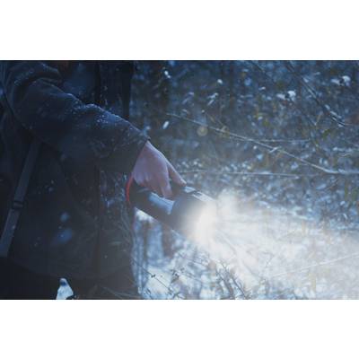 Una persona illumina un bosco innevato con una torcia elettrica. Lo sfondo è scuro con fiocchi di neve che galleggiano nell'aria.
