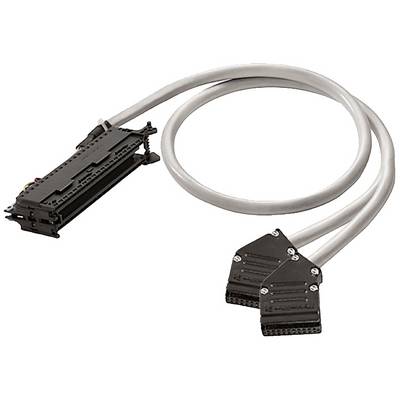 Doppio cavo bus SCSI con connettori Centronics su un lato e due grandi connettori sull'altro lato; per connessioni server.