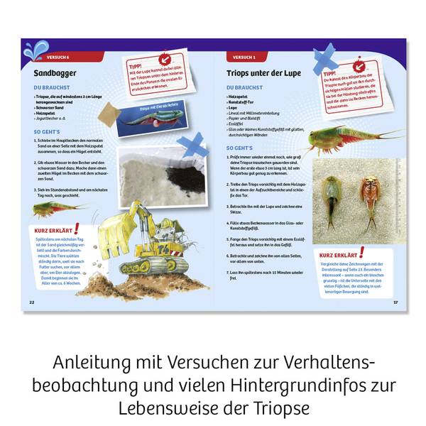 Kit esperimenti e pacchetti di apprendimento - Kosmos 633080 Triops-Giganten Kit per esperimenti da 8 anni - Kit esperimenti e pacchetti di apprendimento - Kosmos 633080 Triops-Giganten Kit per esperimenti da 8 anni -