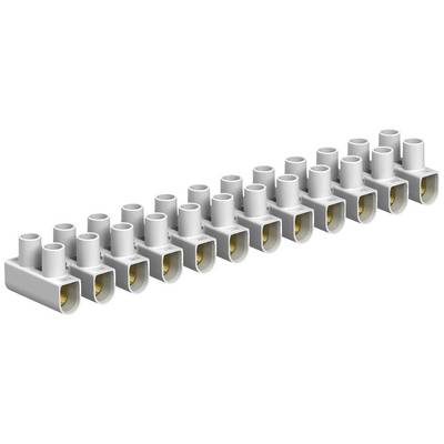 Un blocco connettore bianco con più punti di collegamento per connessioni di fili in circuiti elettrici.