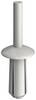 OBO Bettermann 6022928 Ribattino con testa svasata (Ø) 6.5 mm 2252 6.5 100 pz.