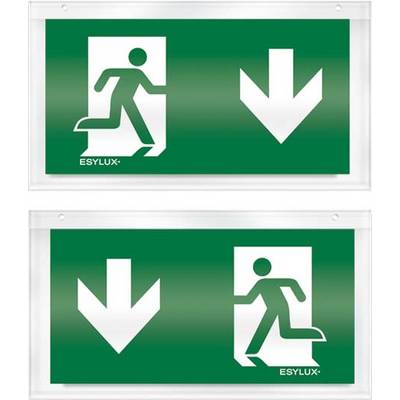 Cartello di "Uscita di emergenza" con persona che corre verso sinistra sotto una freccia che punta verso il basso. Indicazione per via di fuga.