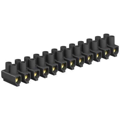 Un connettore nero con 12 pin disposti in una fila. I connettori sono aperti e mostrano i contatti metallici.