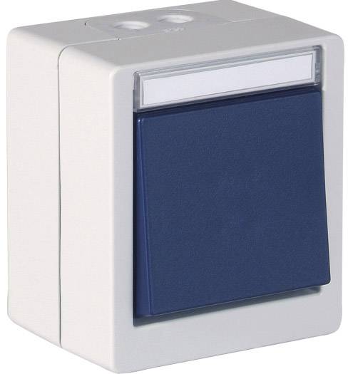Un interruttore blu con alloggiamento rettangolare color crema, adatto per il montaggio a parete.