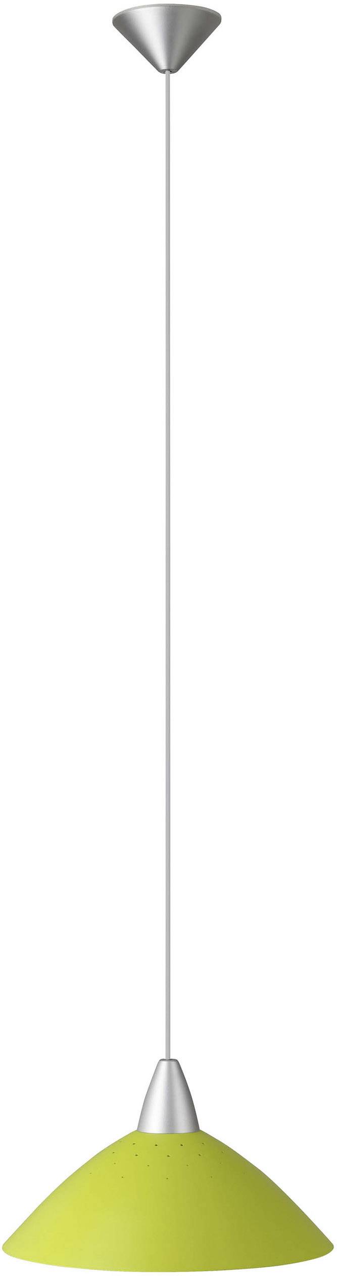 Brilliant Logo 78270/04 Lampada a sospensione LED (monocolore) E27 60 W Argento, Verde