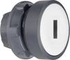 Schneider Electric ZB5AW31 ZB5AW31 Pulsante illuminato elemento frontale piatto 1 tasto Sblocco a pressione 1 pz.