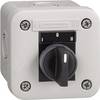 Schneider Electric XALE1333 XALE1333 Alloggiamento di comando 1 pz. Pezzo