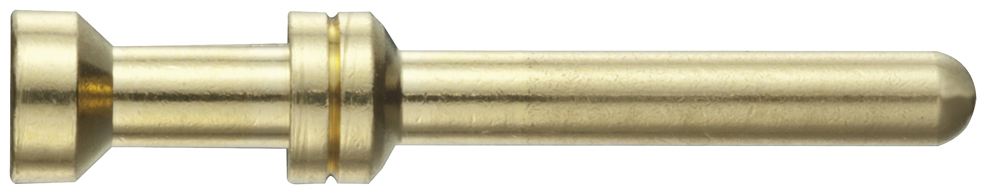 Penna metallica dorata, cilindrica con sezioni più piatte e più strette. Probabilmente un componente di connessione o di contatto.