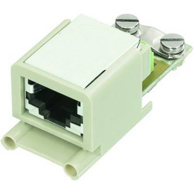 Un modulo Keystone RJ45 rettangolare, generalmente realizzato in plastica e metallo, mostra un connettore di rete con due fissaggi a vite.