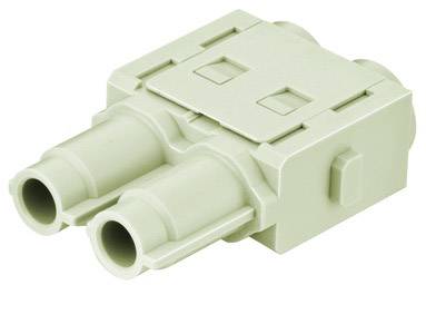 Adattatore ottico doppio in beige, idoneo per alte velocità di trasferimento dati nelle connessioni di rete.