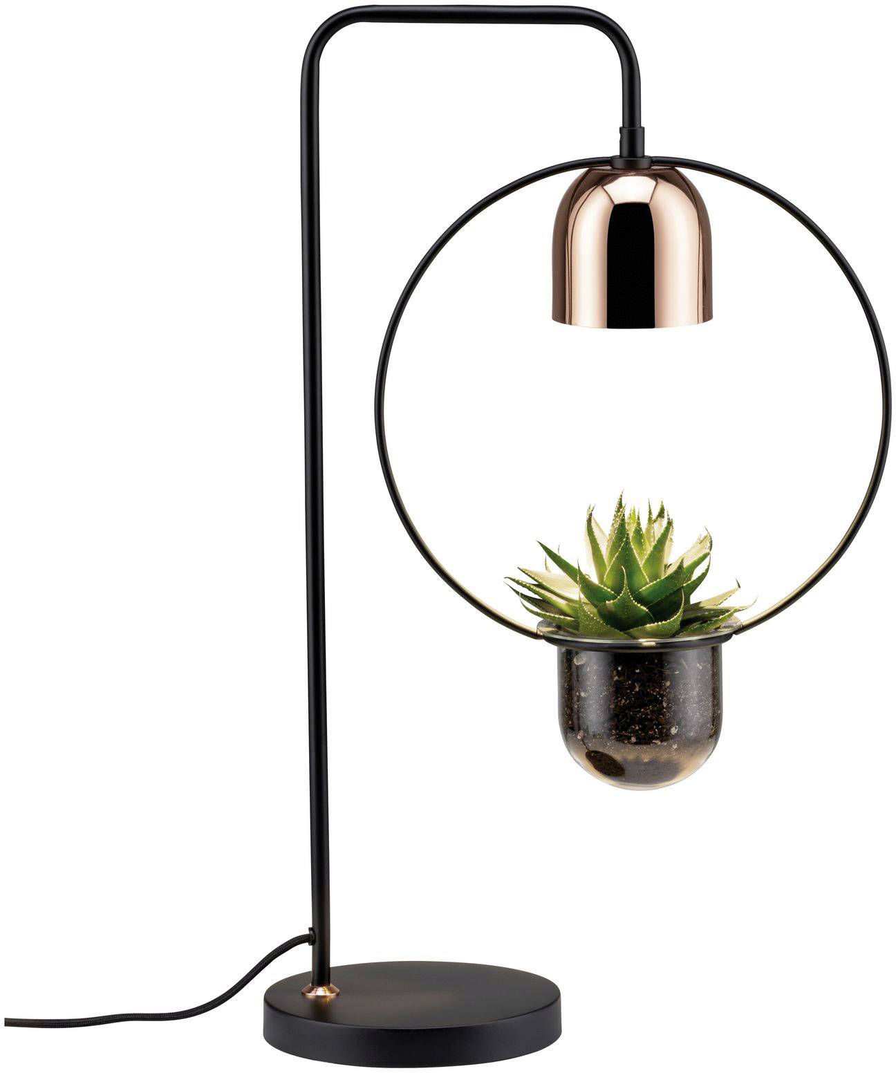 Una lampada da tavolo moderna con una cornice rotonda che sostiene una piccola pianta. La lampada color rame è sospesa sopra la pianta.
