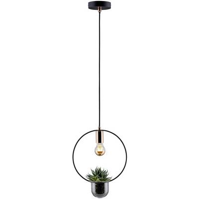 Una lampada a sospensione con un supporto rotondo in metallo e una lampadina, sotto il quale si trova un contenitore di vetro con una piccola pianta.