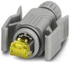 Phoenix Contact CUC-V06-C1PGY-S/R4CEA:1 Connettori RJ45 1414406 Spina dritta Grigio 1 pz.