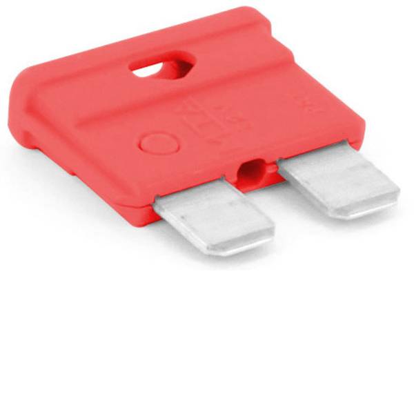 Fusibili per auto - Fusibile piatto standard per auto 10 A Rosso TRU COMPONENTS 8551280 1 pz. - Fusibili per auto - Fusibile piatto standard per auto 10 A Rosso TRU COMPONENTS 8551280 1 pz. -