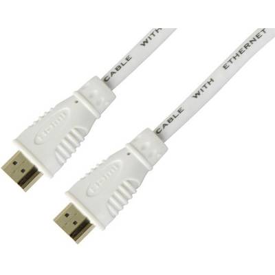 TECHly HDMI Cavo Spina HDMI-A 0.50 m Nero ICOC-HDMI-4-005NWT Canale di ritorno, HDMI standard, contatti connettore dorat-0