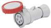 Gewiss GW62031H GW62031H Connettore femmina CEE 16 A 5 poli 380 V, 415 V 1 pz.