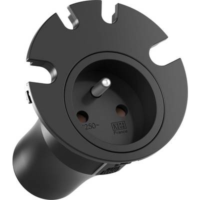 Un adattatore elettrico nero con un perno e la scritta '250V' visibile.