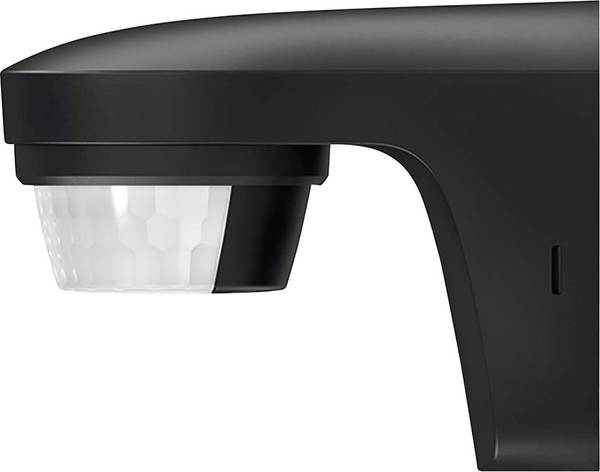 Theben 1010506 Da parete Rilevatore di movimento 180 °  Nero IP55