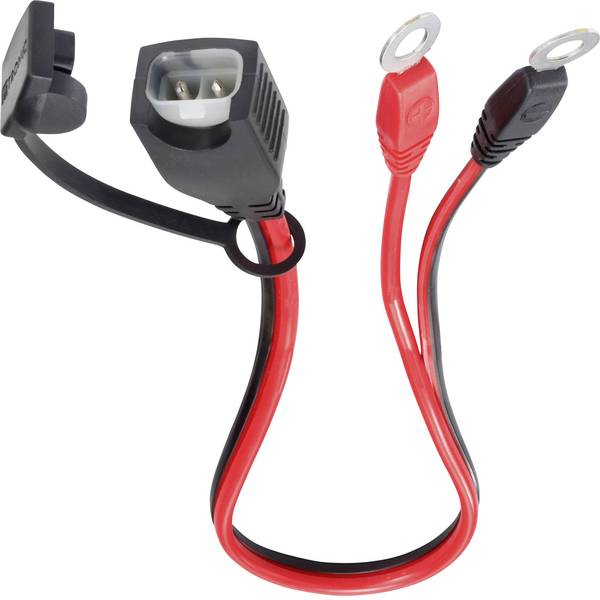 Accessori per caricabatterie da auto - Cavetto Capocorda ad anello M6 H-Tronic 1250740 - Accessori per caricabatterie da auto - Cavetto Capocorda ad anello M6 H-Tronic 1250740 -
