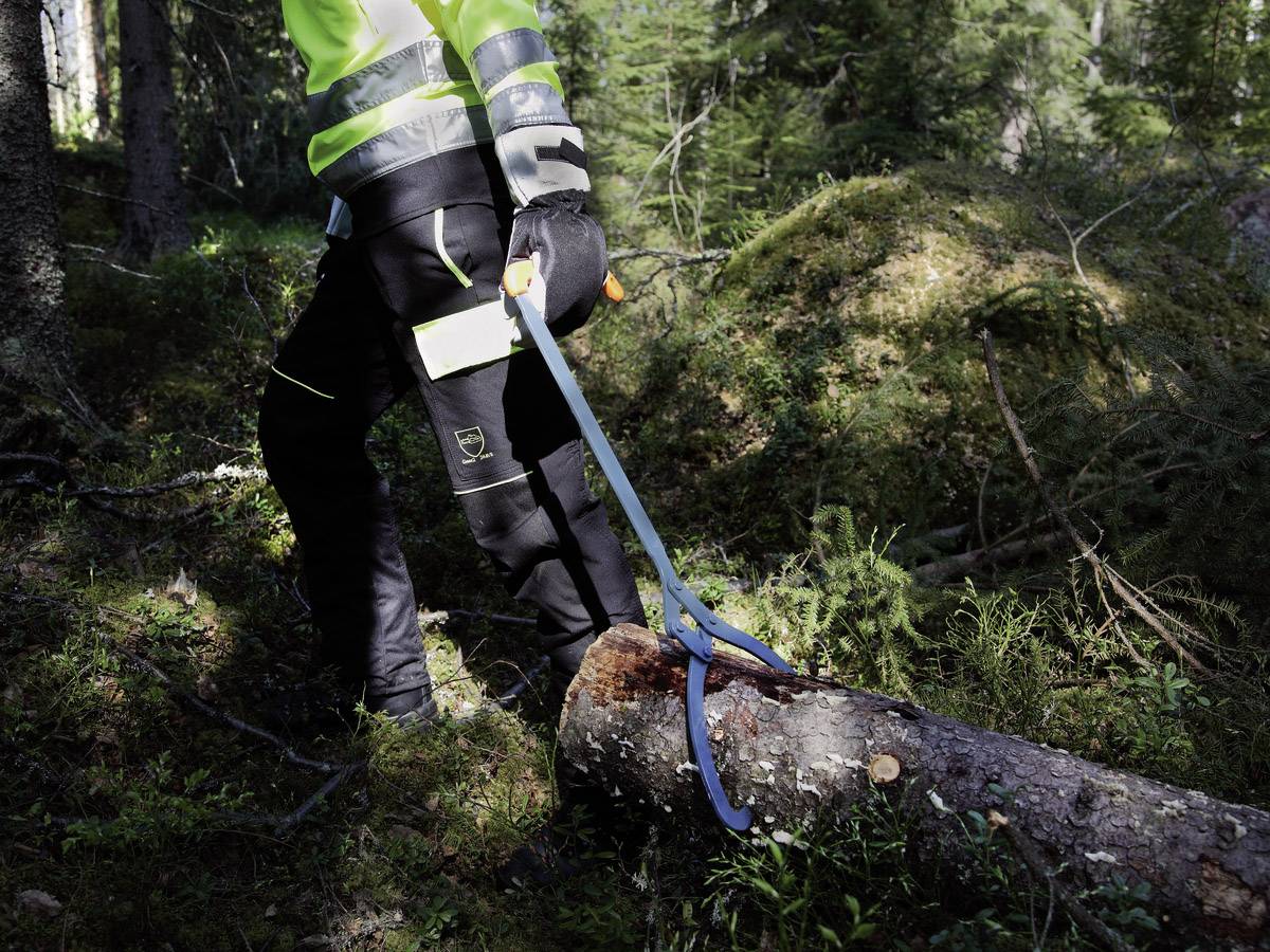 Operaio forestale trascina un tronco abbattuto con un attrezzo a uncino nel bosco. La luce del sole filtra attraverso gli alberi fino al suolo.