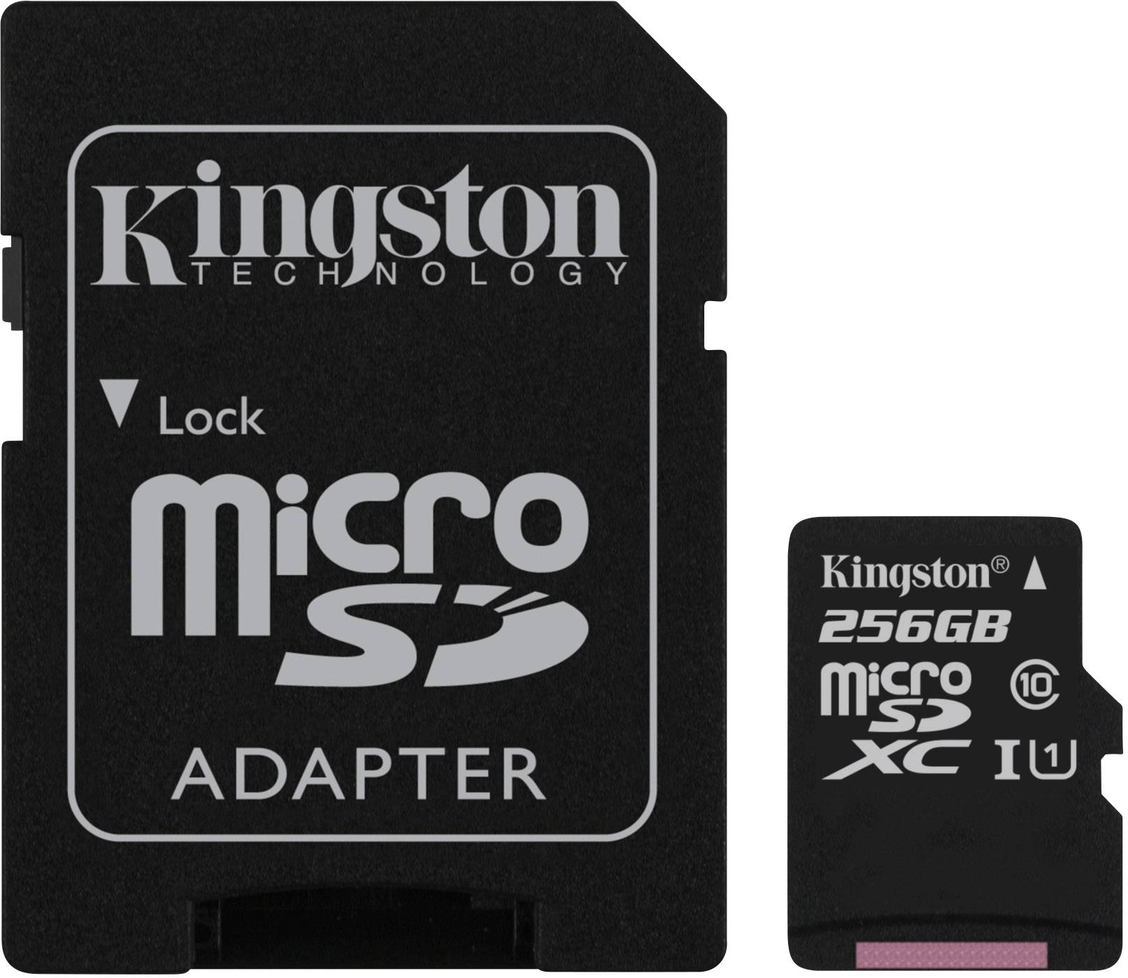 Kingston Extended Capacity SD (MicroSDHC) Scheda microSDHC 256 GB Class 10 incl. Adattatore SD