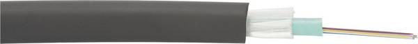 Cavo in fibra ottica Digitus DK-35081/3-U A/I-DQ (ZN) BH 50/125 µ Multimode OM3 Nero Merce a metro