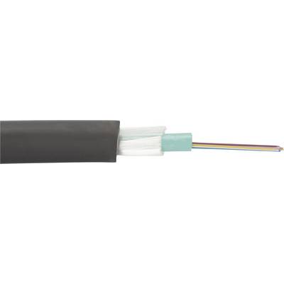 Una sezione trasversale di un cavo ottico con più fibre ottiche in vetro, circondato da strati protettivi.