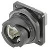 Weidmüller 1012370000 Connettore RJ45 Inserto da pannello RJ45 10 pz. Pezzo