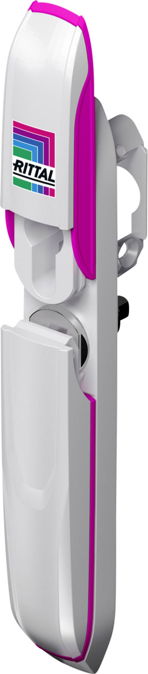 Rittal AX 2435.100 Sistema di chiusura per inserti di chiusura Pressofuso Grigio (RAL 7035) 1 pz. Pezzo
