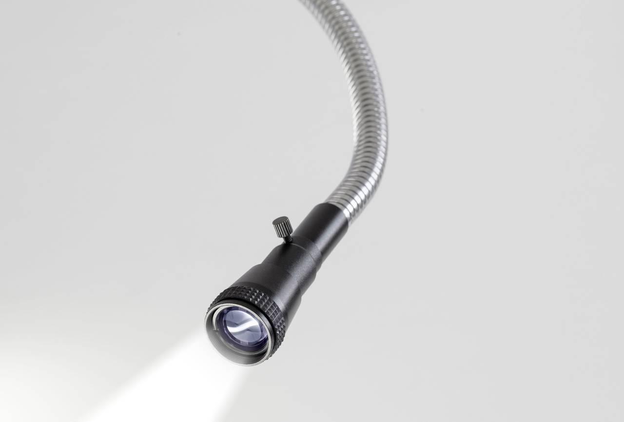 Una lampada da lettura flessibile con collo di cigno curvo e luce accesa su sfondo neutro.