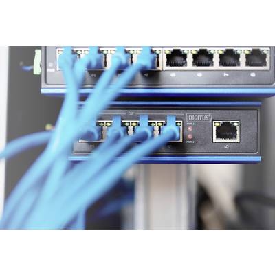 Un interruttore di rete con diversi cavi Ethernet blu collegati, che rappresentano connessioni di dati in una sala server.