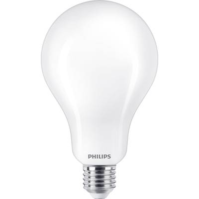 Una lampadina bianca con base argentata, marca 'Philips', isolata su sfondo bianco.